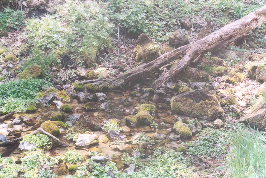 Picture of water flowing out of the ground.