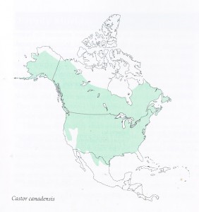 Map with green stading showing beaver range in North America